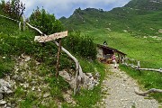 41 Rif. Lago Branchino (1796 m)